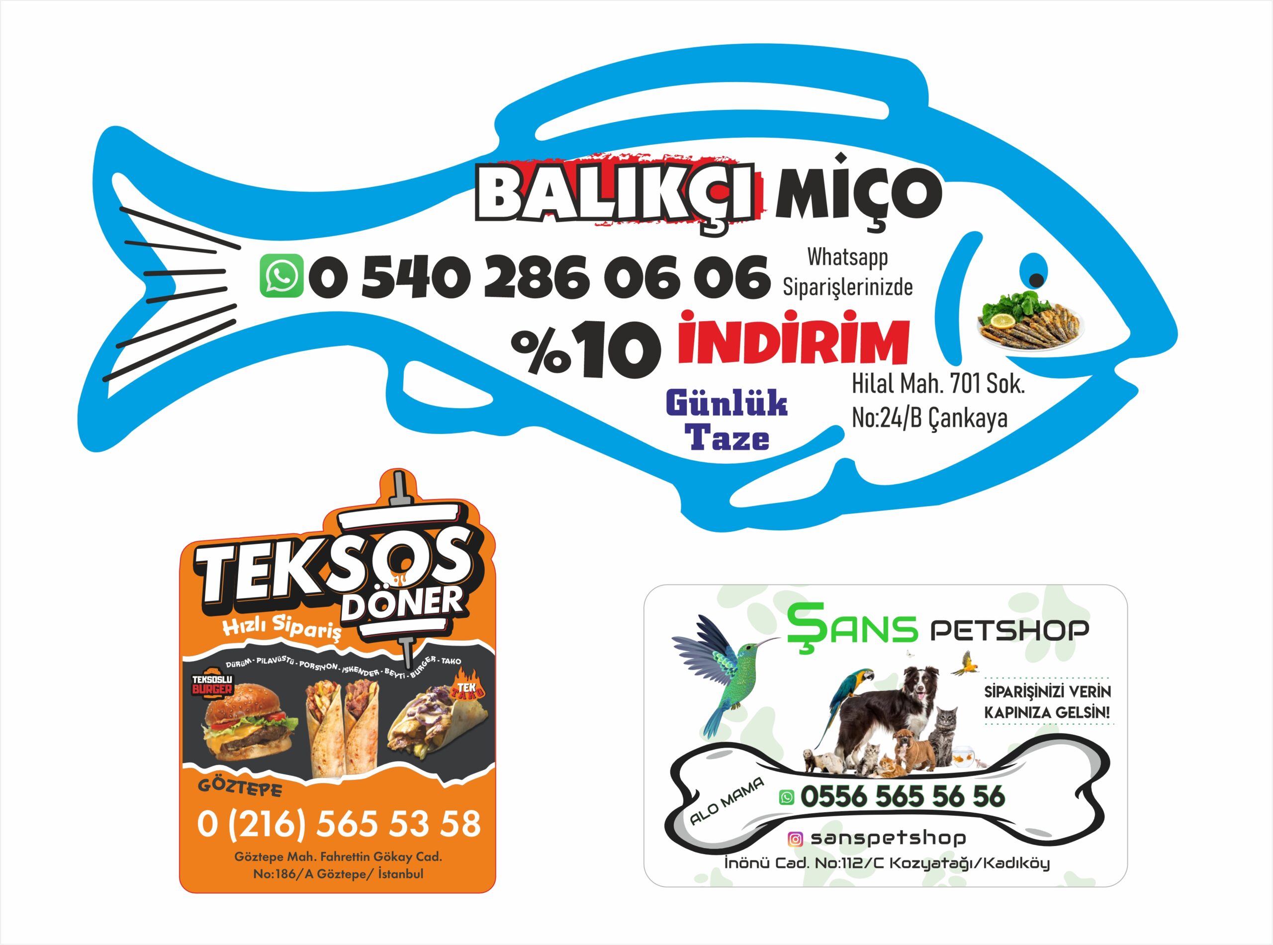 Magnet (Mıknatıslı)